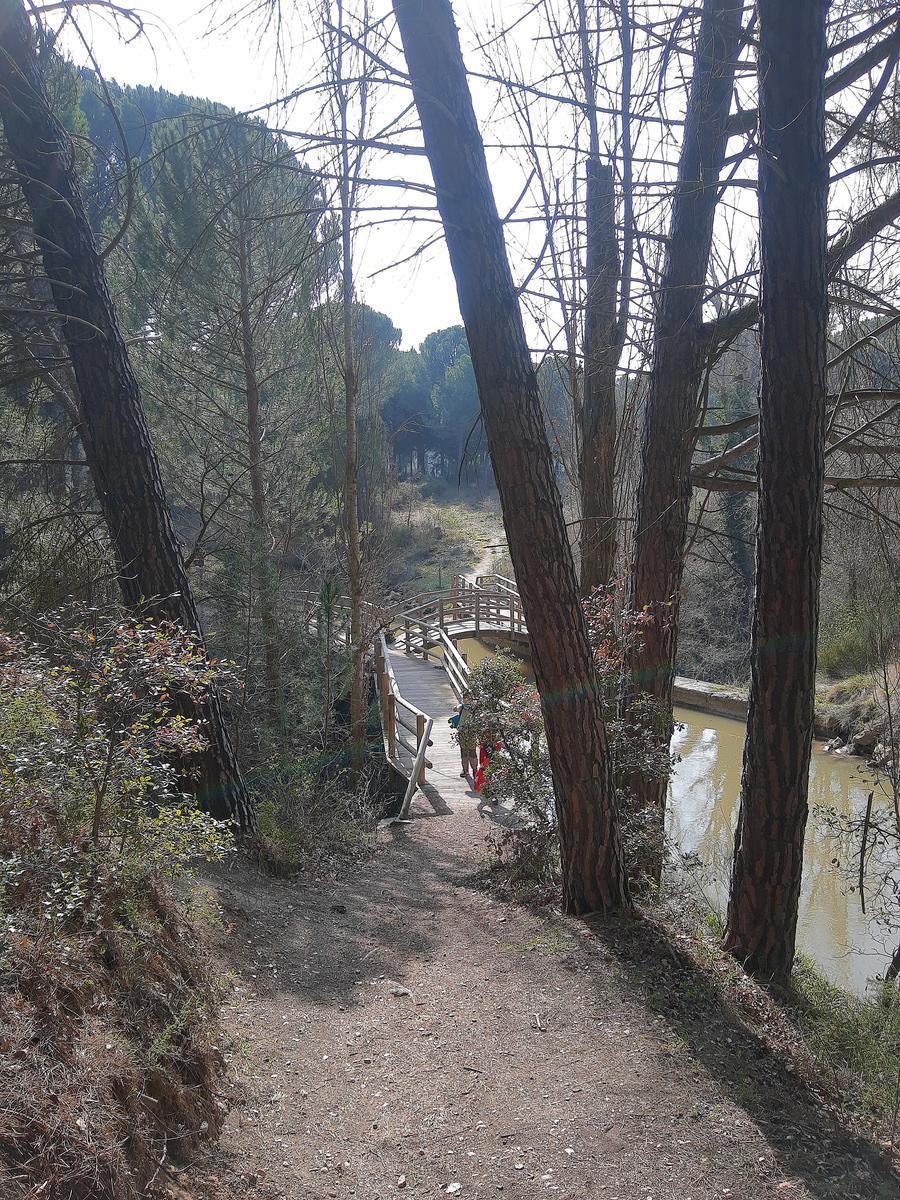 Experiencias únicas